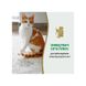 Спрей 8in1 NM Cat Urine Destroyer Pour для усунення запахів сечі котів, 946 мл 680476/680418/680067 USA фото 4