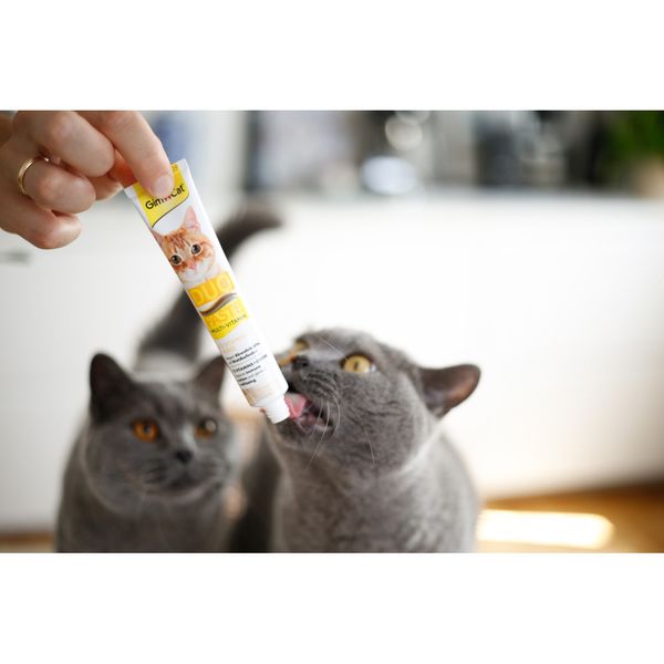 Паста для котів GimCat DUO PASTE Multi-vitamin 12 vitamins with cheese 12 вітамінів та сир, 50 г G-421841 фото