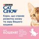 Сухий повнораціонний корм Cat Chow Kitten 15 кг, з куркою для кошенят 5997204514028 фото 7