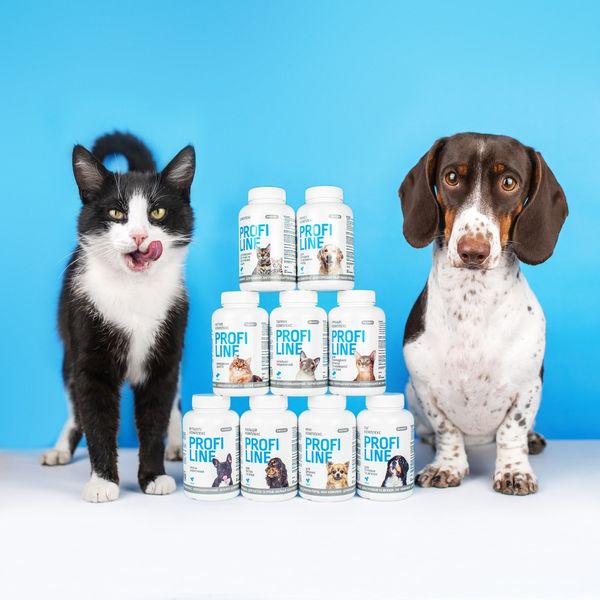Вітаміни Provet Profiline для собак, Максі Комплекс для середніх та великих порід, 100 таб. PR243169 фото