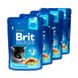 Набір паучів "3+1" для кошенят Brit Premium Cat pouch Chicken Chunks for Kitten з куркою, 4х100г VAFO_030349 фото 3