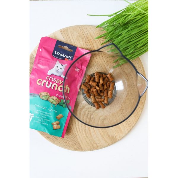 Хрусткі подушечки Vitakraft Crispy Crunch для котів, м’ята, 60 г 28813 фото