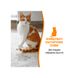 Спрей 8in1 NM Cat Orange Oxy Spray для котів, усунення плям і запахів, 709 мл 680398/1707 USA фото 4