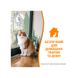 Спрей 8in1 NM Cat Orange Oxy Spray для котів, усунення плям і запахів, 709 мл 680398/1707 USA фото 6