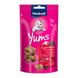 Хрусткі подушечки Vitakraft Yums для котів, качка та бузина, 40 г 39810 фото 1