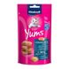 Подушечки Vitakraft Yums для котів, лосось та Омега 3, 40 г 28823 фото 1