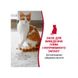 Засіб 8in1 NM Cat Stain&Odor Remover Spray для котів, для усунення плям та запахів, 946 мл 680111/6974 USA фото 10